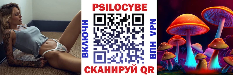 цены наркотик  Ессентукская  Псилоцибиновые грибы Psilocybe 